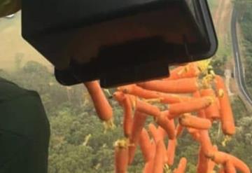 Lanzan verduras desde helicópteros para alimentar a animales en Australia