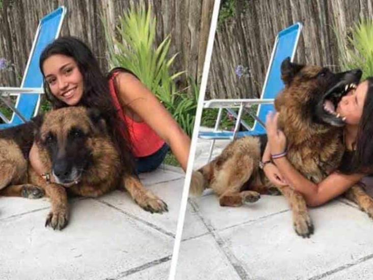 Joven Es Atacada Por Su Perro Tras Intentar Hacerse Una Selfie Juntos