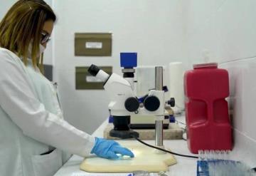 Garantiza FGE resultados en investigaciones por los restos humanos localizados en Nacajuca