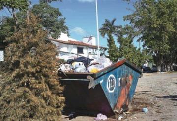 Insisten ciudadanos en dejar pinos en la calle