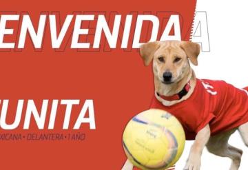 Atlético de San Luis integra a su equipo a una perrita que interrumpió un juego