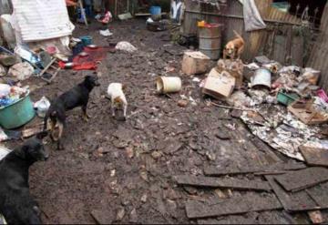 Rescatan a Don chocolate y sus mascotas; tenía 47 animales en su hogar