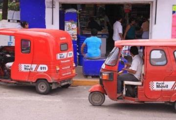 Pochimóviles contarán con aplicación y wifi