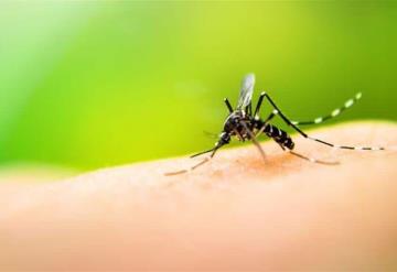 ¡Alerta! aumento en casos de dengue en Tabasco