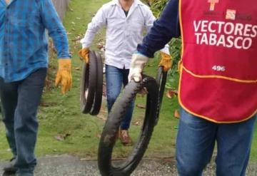 Inicia la batalla contra el dengue en Comalcalco