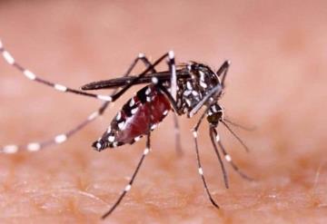 Confirma Gobierno de Tabasco muertes por dengue