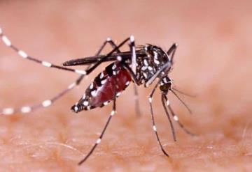 Confirman 49 casos de dengue en Villahermosa