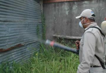 Vendrá a Tabasco refuerzo contra dengue desde CDMX