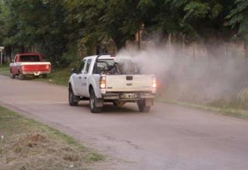 Emprenden acciones para combatir el dengue en  Tabasco