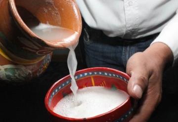 Indígenas oaxaqueñas producen pulque para evitar migración