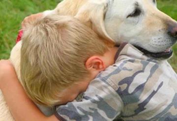 Da en adopción a su perrito porque su papá lo maltrataba