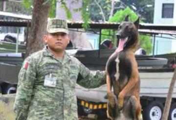 Dos binomios caninos forman parte del 37 Batallón de Tabasco