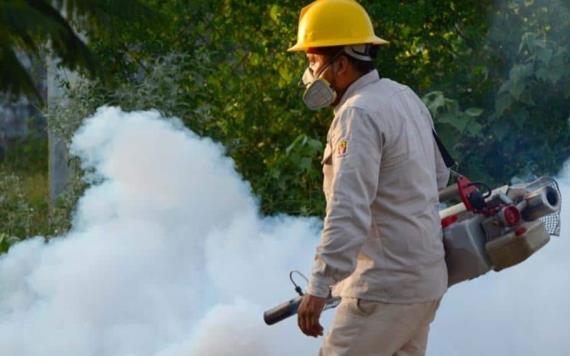 Se refuerzan trabajos de contención del dengue en Tabasco