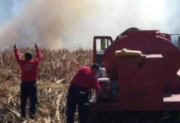 Registran 90 incendios en Tabasco en lo que va de 2020