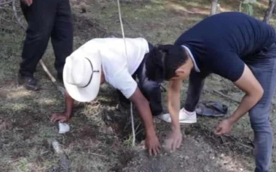 Siembra 100 árboles en Chiapas un hombre acusado de ecocidio