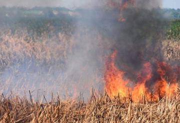 Aumentan incendios en Tabasco un 25 por ciento