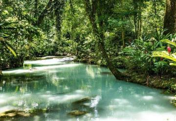 Ponen en marcha, segundo tianguis turístico en Tabasco