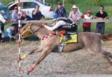 Ignoran autoridades Federales y realizan carreras de caballos