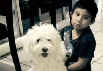 Niño que se volvió viral en redes buscando a su perrito lo recupera