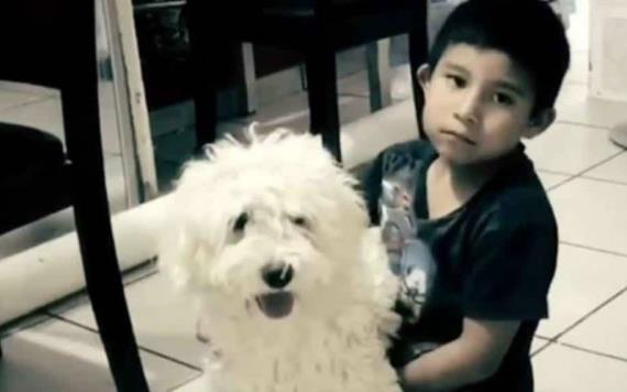 Niño que se volvió viral en redes buscando a su perrito lo recupera