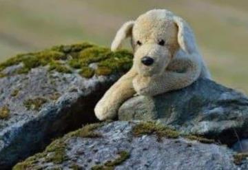 Para evadir aislamiento, hombre pasea a perro de peluche