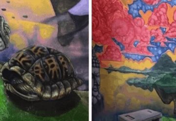 Descubre un mural oculto en su casa luego de que su gato arrancara el empapelado