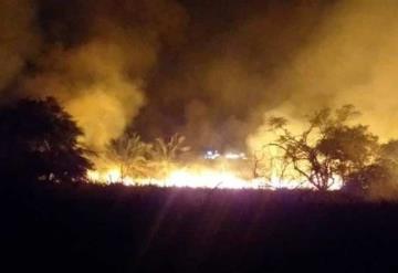 Se incendia Área Natural Protegida en Puerto Vallarta; se consumen casi 2 hectáreas