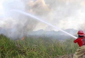 Se duplican incendios en Tabasco: Protección Civil