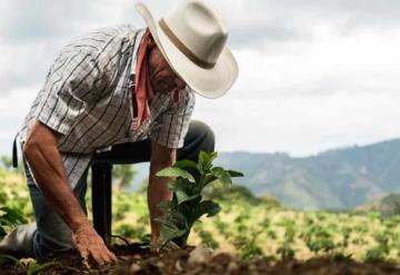 Gobierno Federal garantiza productividad hidroagrícola ante covid-19