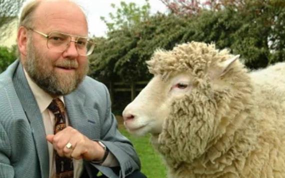 Buscarán cura para el coronavirus los científicos que clonaron a la oveja Dolly