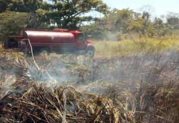 Las lluvias no serán suficientes para mitigar los incendios ocasionados por la sequía: IPC