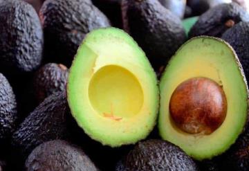 Pese a pandemia, el aguacate mexicano sigue siendo deleitado por los estadounidenses