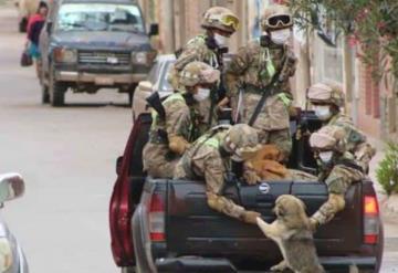 Perritos sin hogar son rescatados por soldados durante cuarentena por el covid-19