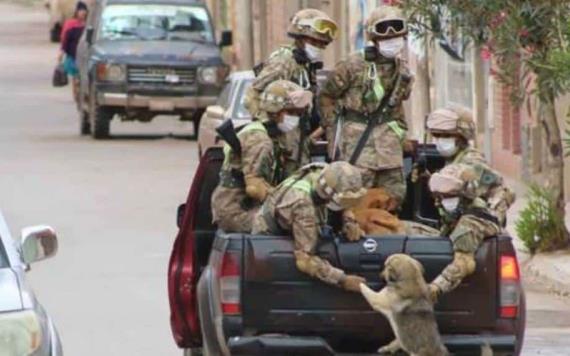 Perritos sin hogar son rescatados por soldados durante cuarentena por el covid-19