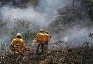 Murieron seis personas por incendio forestal en Oaxaca