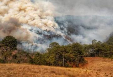 Reportan 10 incendios forestales activos en Oaxaca