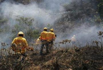 9 muertos en Oaxaca por incendio forestal