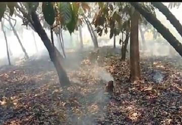 Presuntos delincuentes incendian haciendas cacaoteras de Jalpa de Méndez en venganza por denuncias