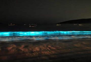 Microalgas causan bioluminiscencia, un fenómeno bioquímico que ilumina las playas de Acapulco