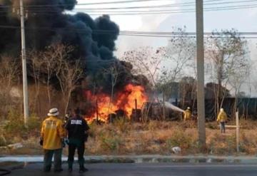 Más de 1,550 hectáreas son afectadas por cinco incendios activos en Yucatán