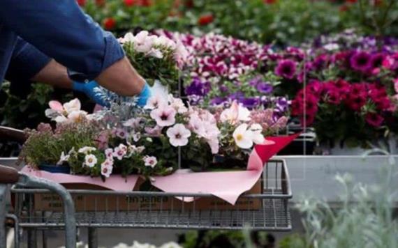 Florerías de Tabasco harán solo ventas a domicilio por decreto del Gobierno estatal
