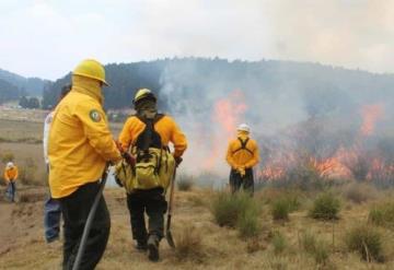 Más de 11 mil hectáreas destruidas por incendios forestales en Quintana Roo