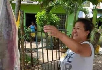 Cuatro toneladas de pescado son repartidos en Paraíso a familias afectadas por COVID-19