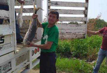 Llevan pescados y despensas a vendedores ambulantes de Paraíso