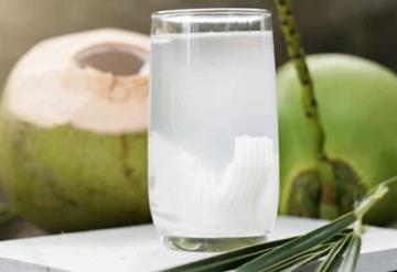 Conoce los beneficios de tomar agua de coco