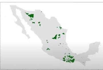 ¿Qué municipios de México están en el semáforo verde para reanudar actividades este 18 de mayo?