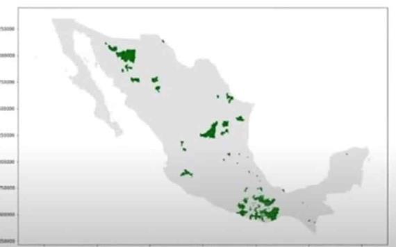 ¿Qué municipios de México están en el semáforo verde para reanudar actividades este 18 de mayo?