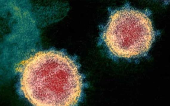 Alertan por dos nuevos síntomas de coronavirus