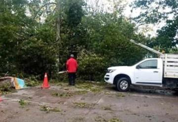 Azota tromba a Paraíso; derriba árboles y hace volar tejas