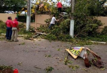 Fuertes ráfagas de viento causan graves afectaciones en siete municipios